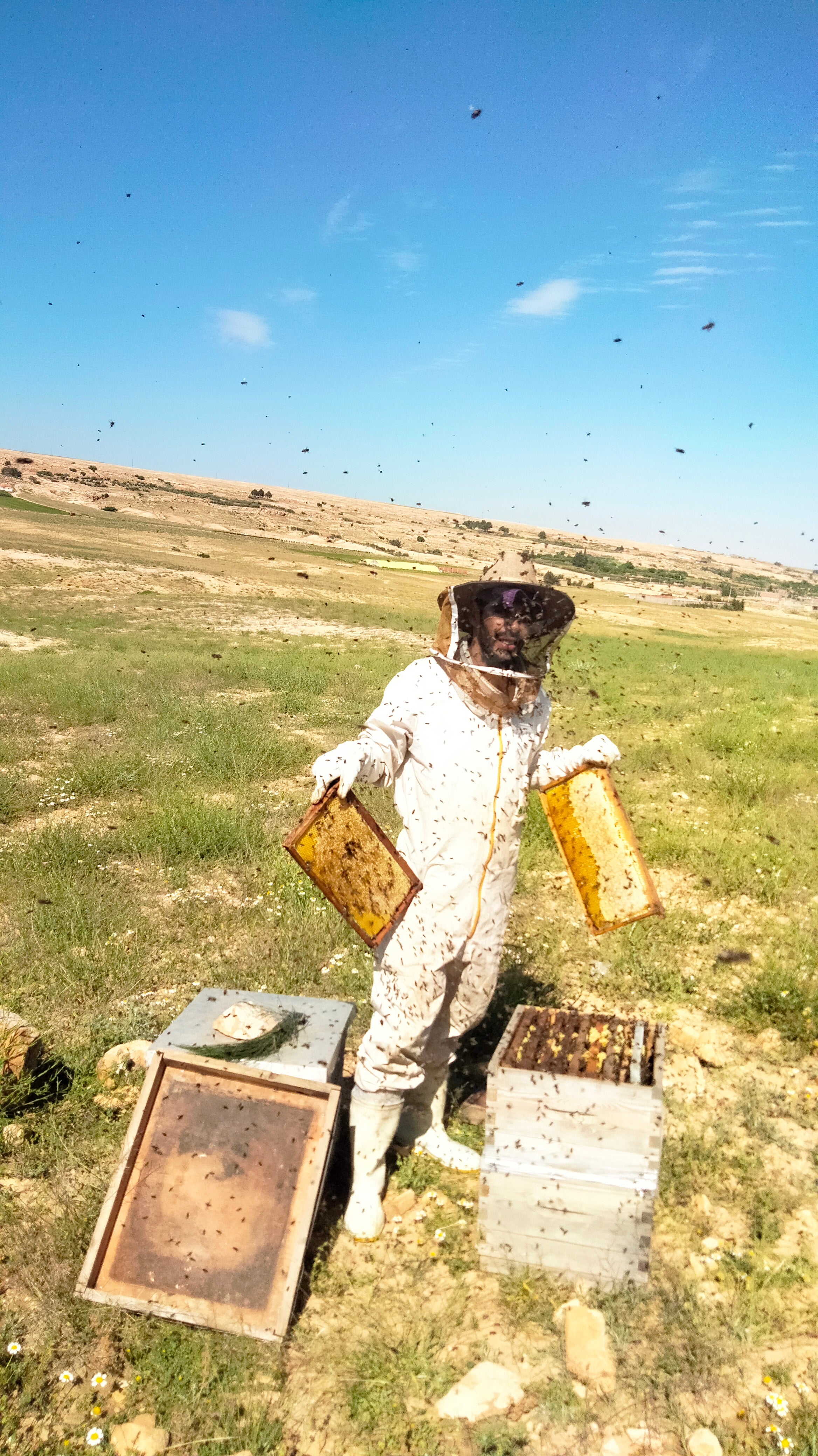 باقة عسل الربيع